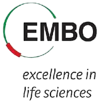 Partnerlustoetused 5 embo